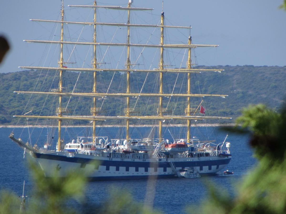 Castle Stambuk Daire Hvar Town Dış mekan fotoğraf